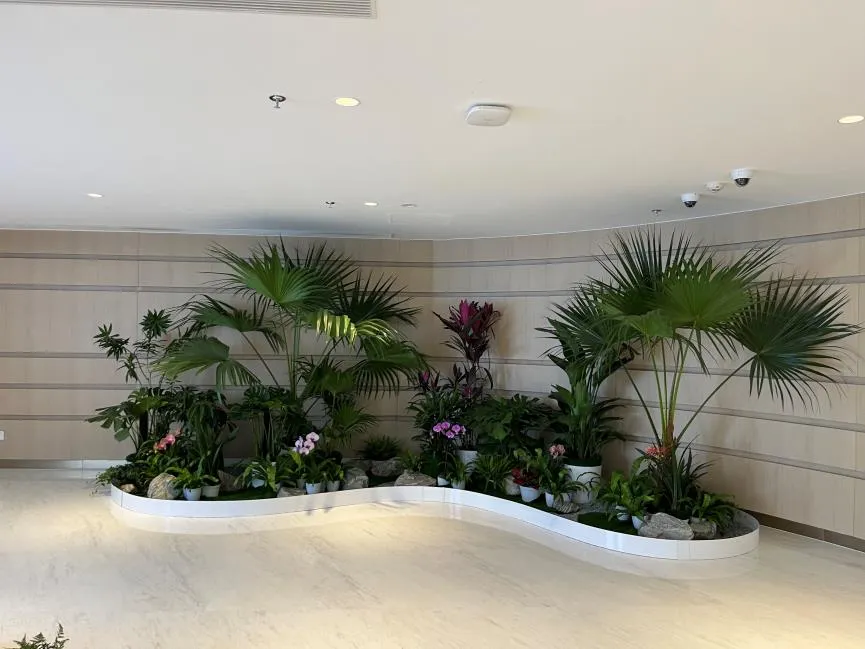 惊爆！宁波海曙绿化修剪方案大揭秘，速看！